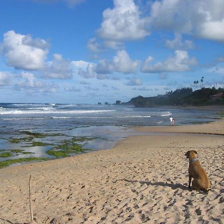 Round House Hotel Bathsheba Exterior photo